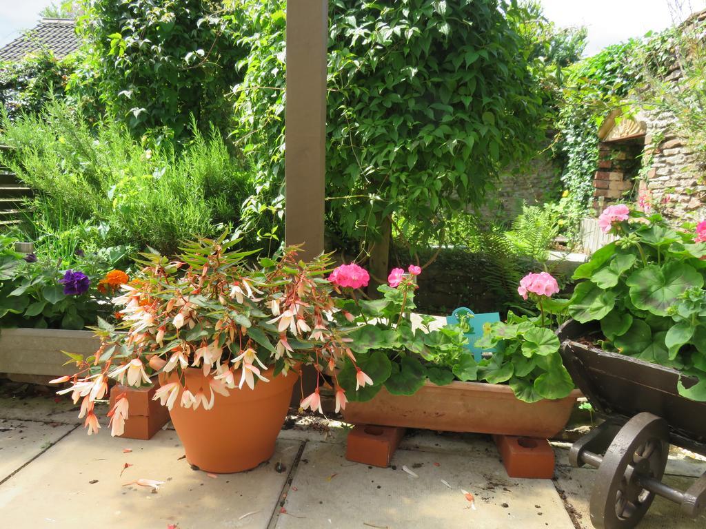 Little Orchard Apartment Yate Ngoại thất bức ảnh